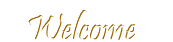 welcome image
